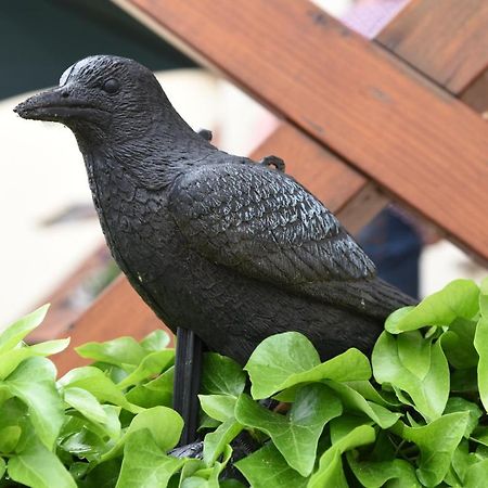 Ferienappartement Balik Bad Staffelstein Exteriér fotografie